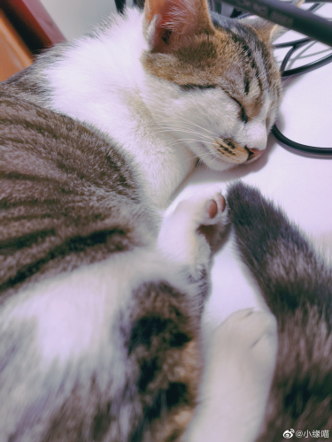 2021年6月17日微博