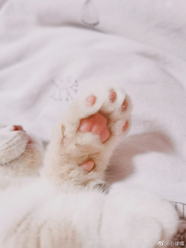 被窝睡着的过程