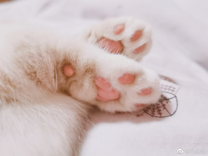 被窝睡着的过程