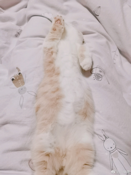 被窝睡着的过程