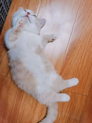 被窝以一个诡异的表情睡着了