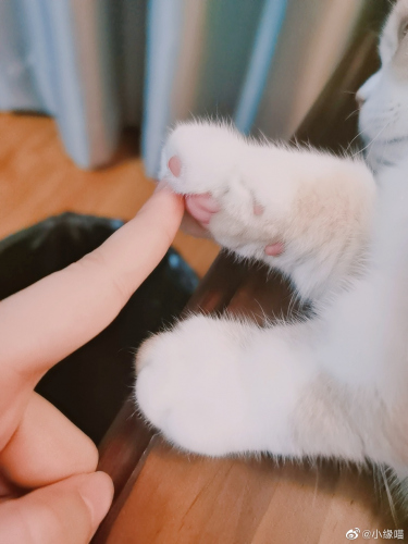 2021年9月19日微博