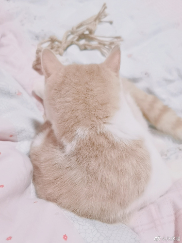 2021年9月19日微博