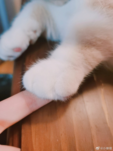 2021年9月19日微博