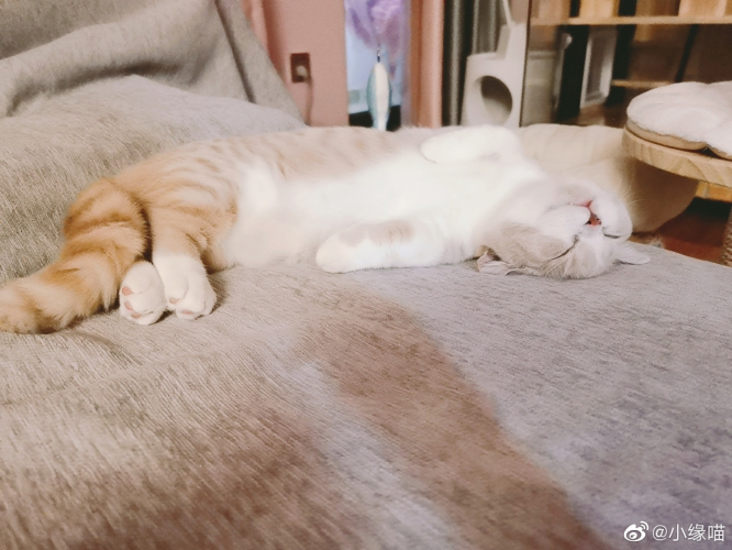 2021年10月22日微博