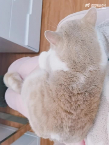 胳膊被抱住了，麻了，不敢动