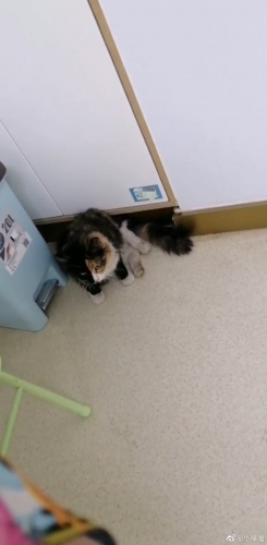 2022年2月21日微博