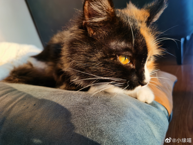 2022年2月21日微博