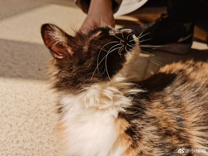 2022年2月23日微博