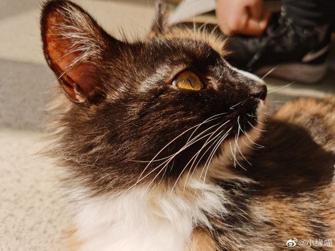 2022年2月23日微博