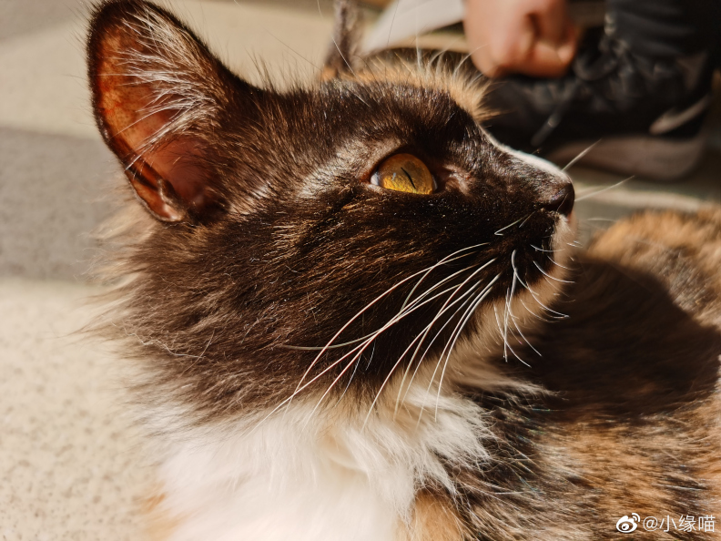 2022年2月23日微博