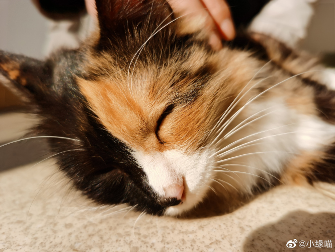 2022年2月23日微博