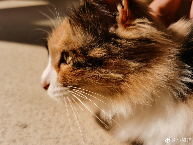 2022年2月23日微博