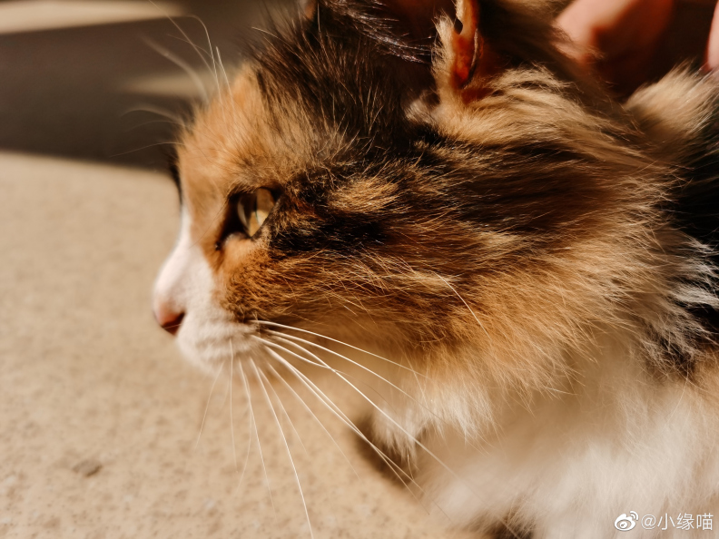 2022年2月23日微博