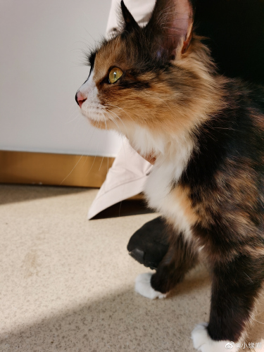 2022年2月23日微博