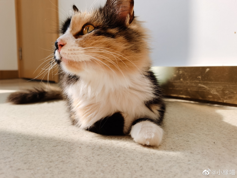 2022年2月23日微博