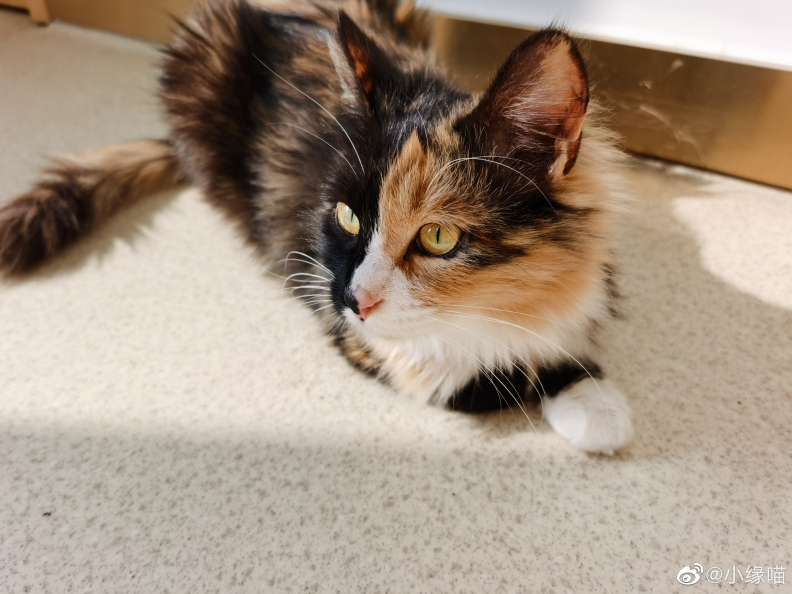 2022年2月23日微博