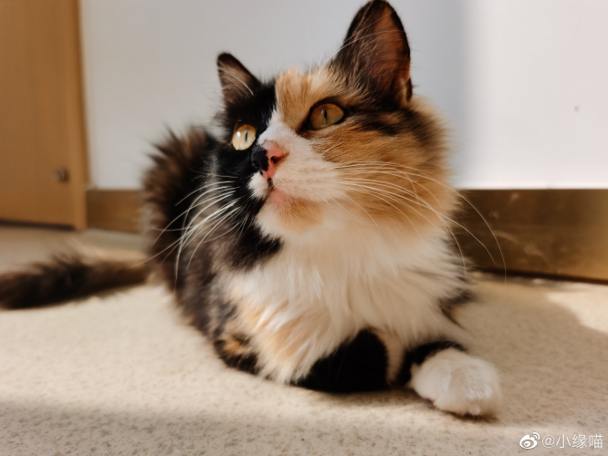 2022年2月23日微博