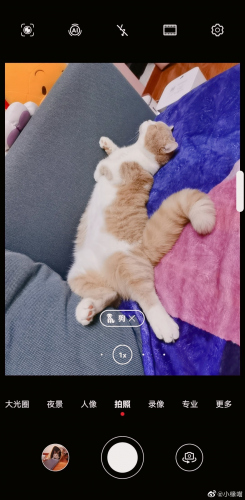 2022年4月14日微博