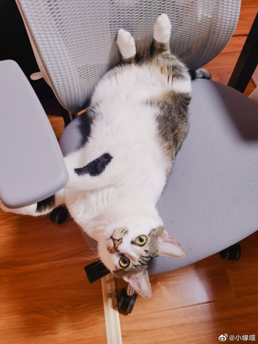 2022年5月5日微博