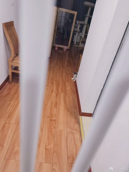 2022年5月5日微博