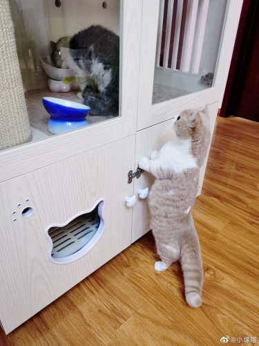 2022年5月13日微博