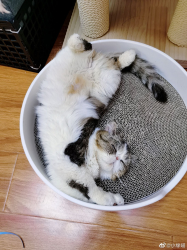 2022年5月17日微博