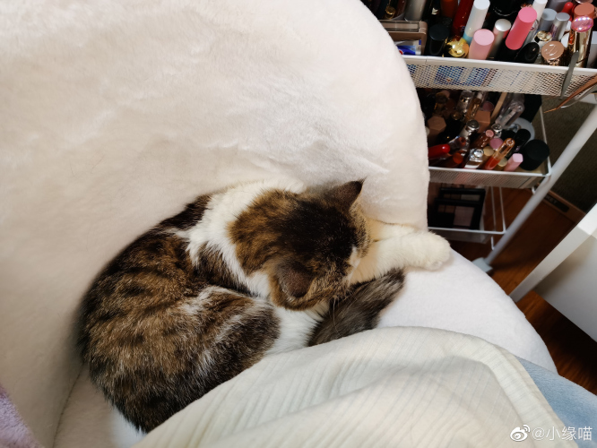 2022年5月17日微博