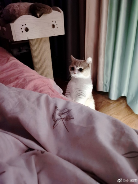 2022年5月25日微博