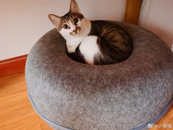 2022年5月30日微博