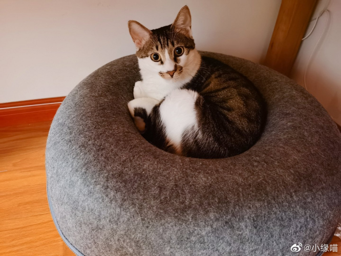 2022年5月30日微博