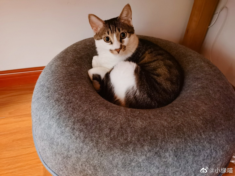 2022年5月30日微博