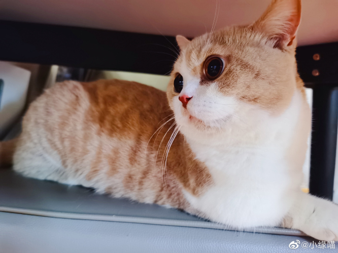 2022年6月1日微博