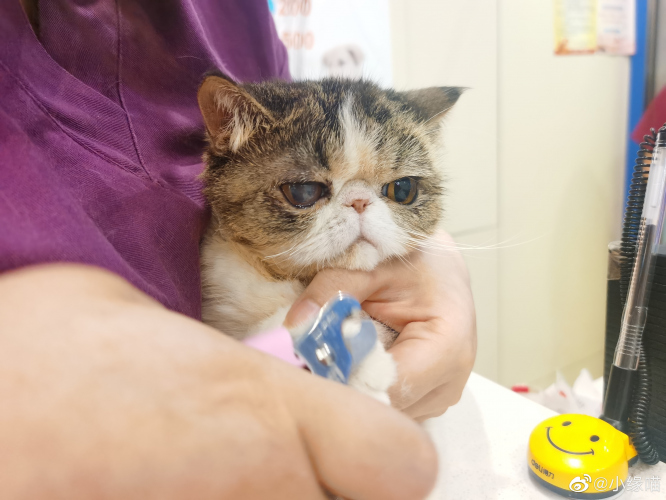 2022年7月1日微博