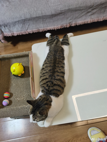 2022年9月15日微博