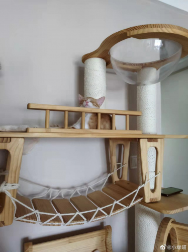 2022年9月15日微博