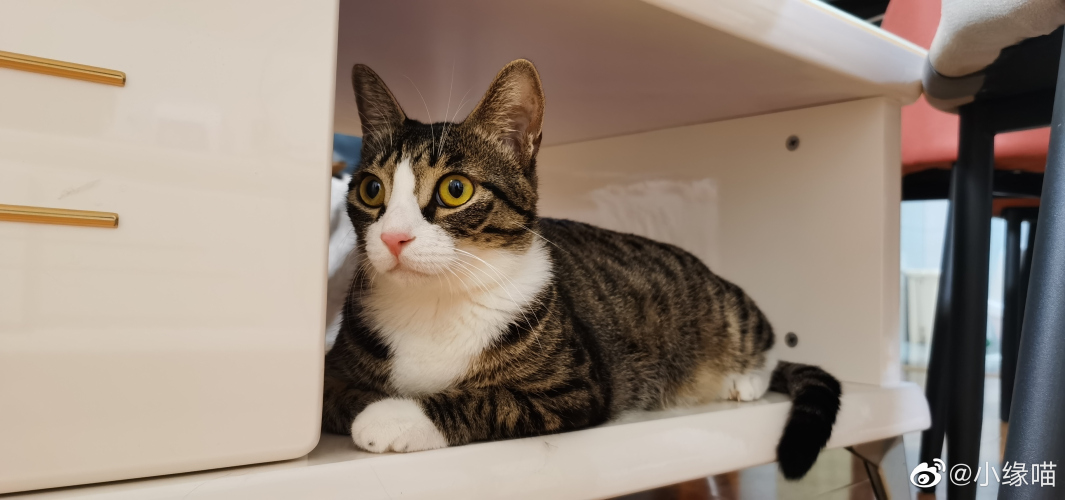 2022年9月15日微博