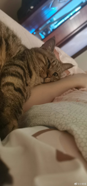 2022年9月15日微博