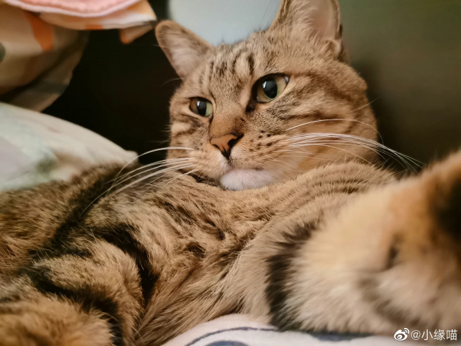 2022年9月15日微博