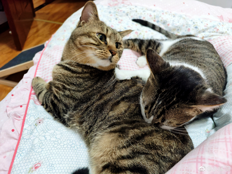 2022年9月20日微博