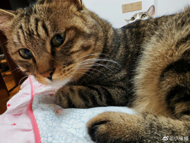 2022年9月20日微博