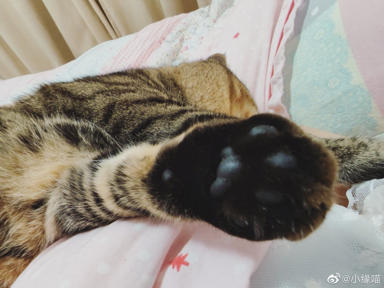 2022年10月7日微博