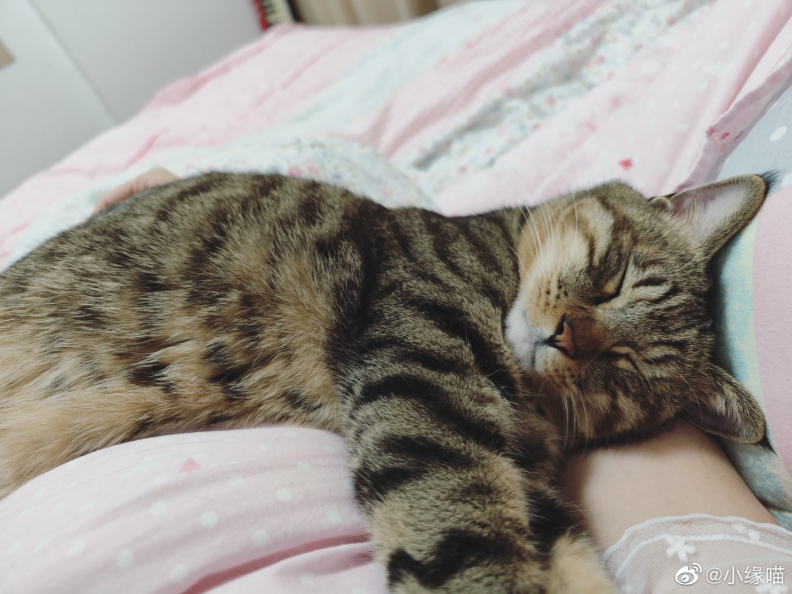 2022年10月7日微博