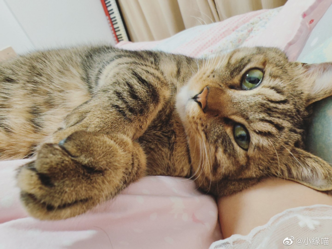 2022年10月7日微博