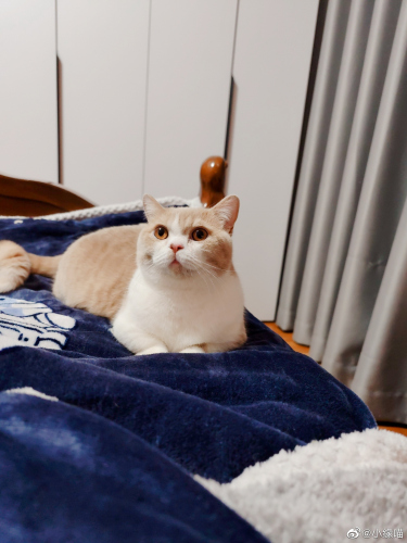 2023年2月17日微博