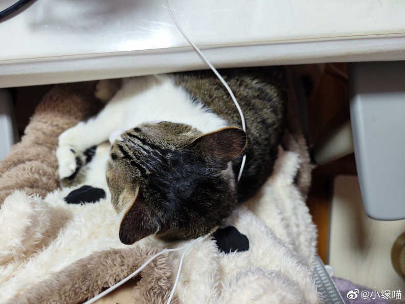 2023年2月17日微博